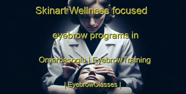 Skinart Wellness-focused eyebrow programs in Omerbasoglu | EyebrowTraining | EyebrowClasses | SkinartTraining-Turkey